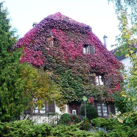B&B De Charme La Maison Des 5 Temps Ferrette Eksteriør bilde