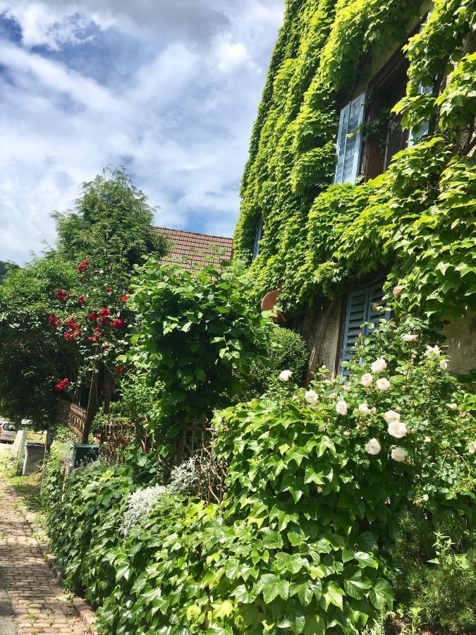 B&B De Charme La Maison Des 5 Temps Ferrette Eksteriør bilde