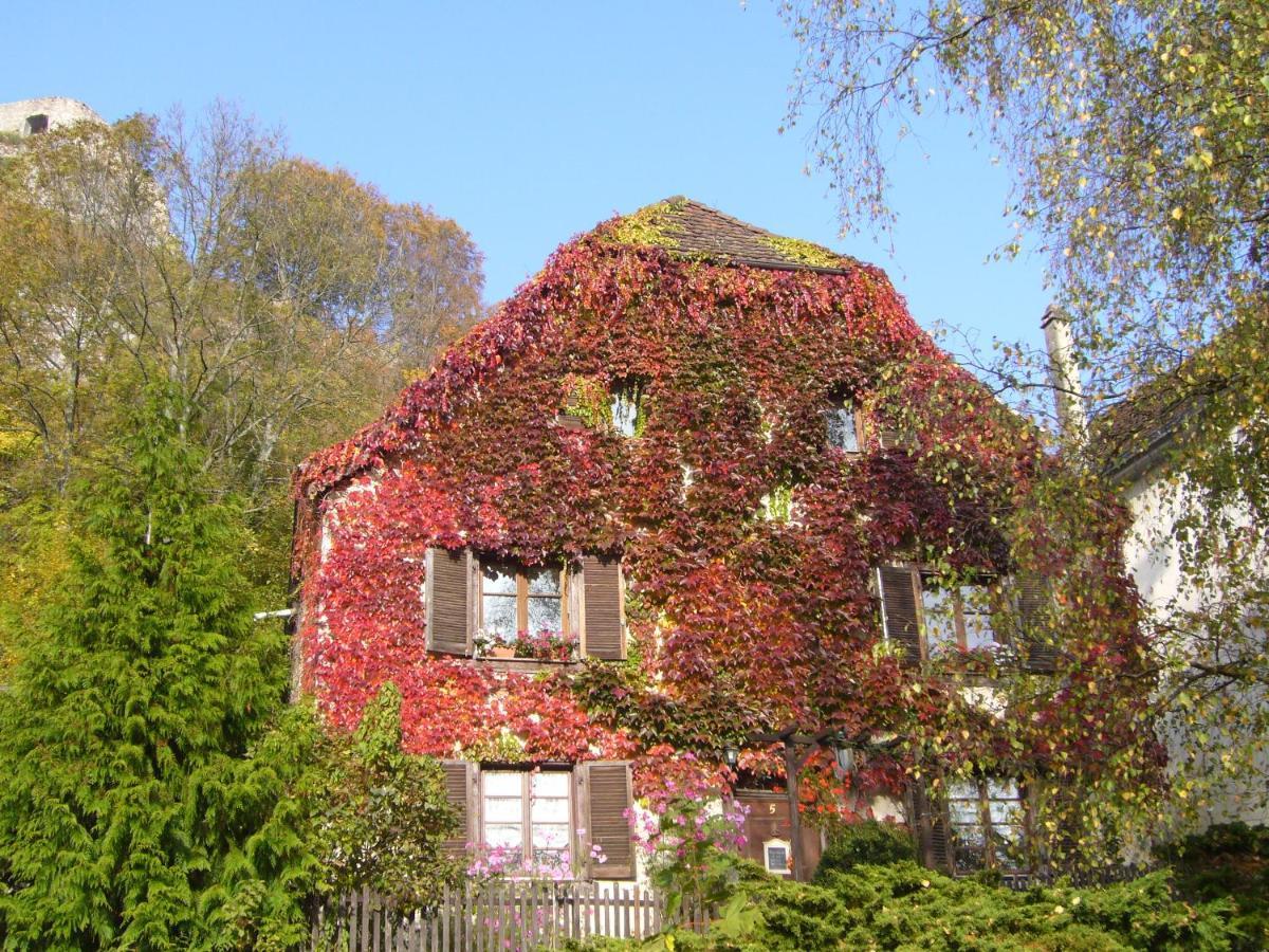 B&B De Charme La Maison Des 5 Temps Ferrette Eksteriør bilde
