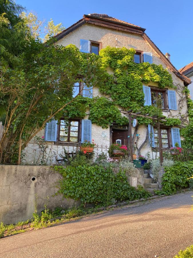 B&B De Charme La Maison Des 5 Temps Ferrette Eksteriør bilde