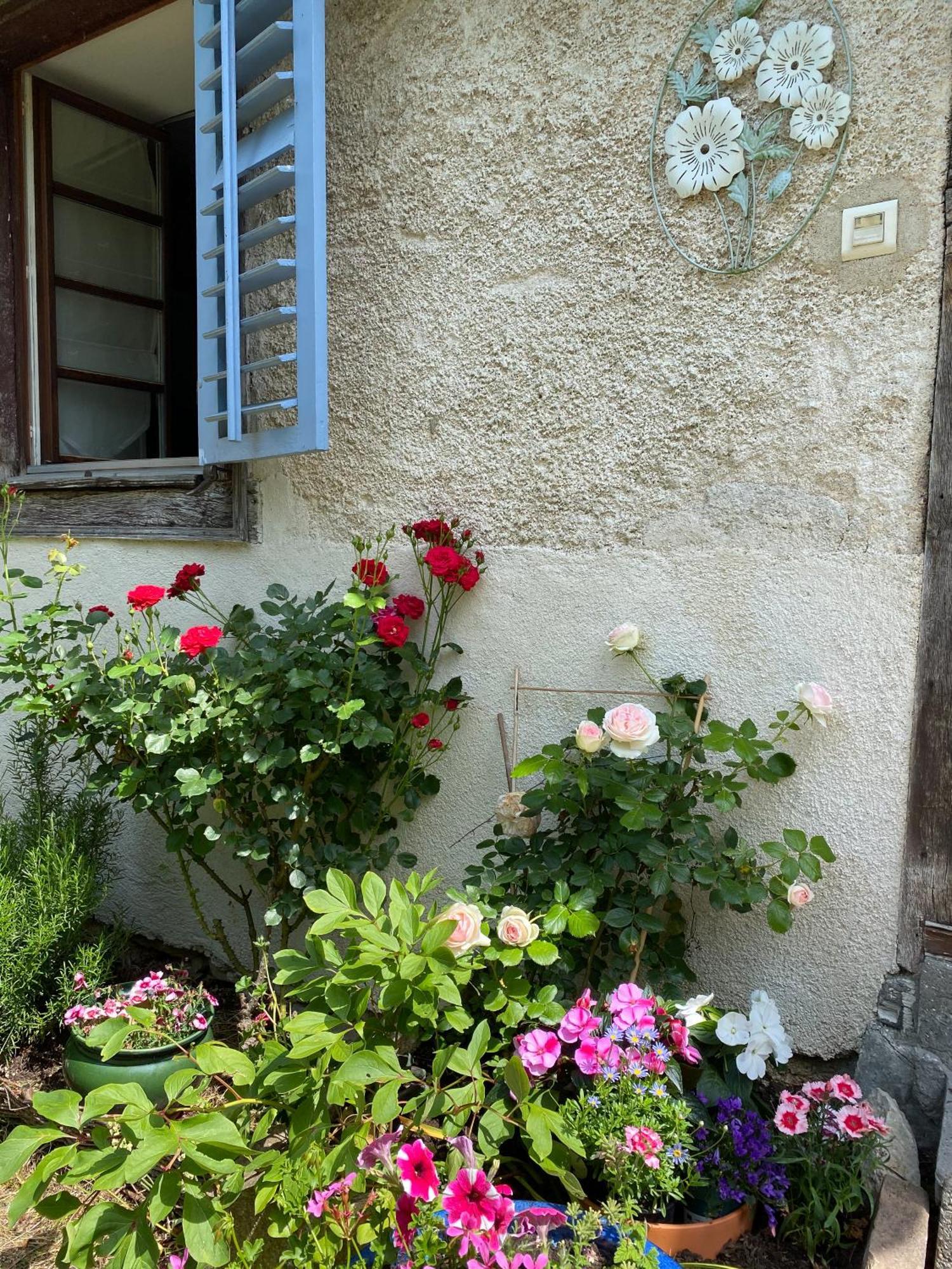 B&B De Charme La Maison Des 5 Temps Ferrette Rom bilde