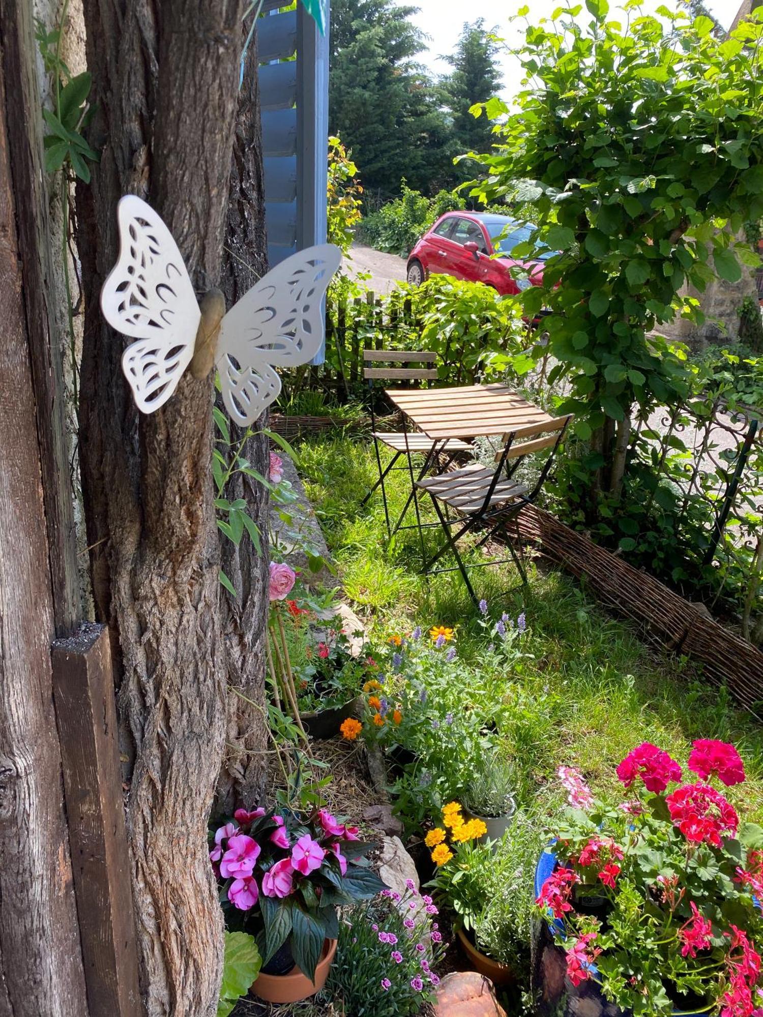 B&B De Charme La Maison Des 5 Temps Ferrette Rom bilde