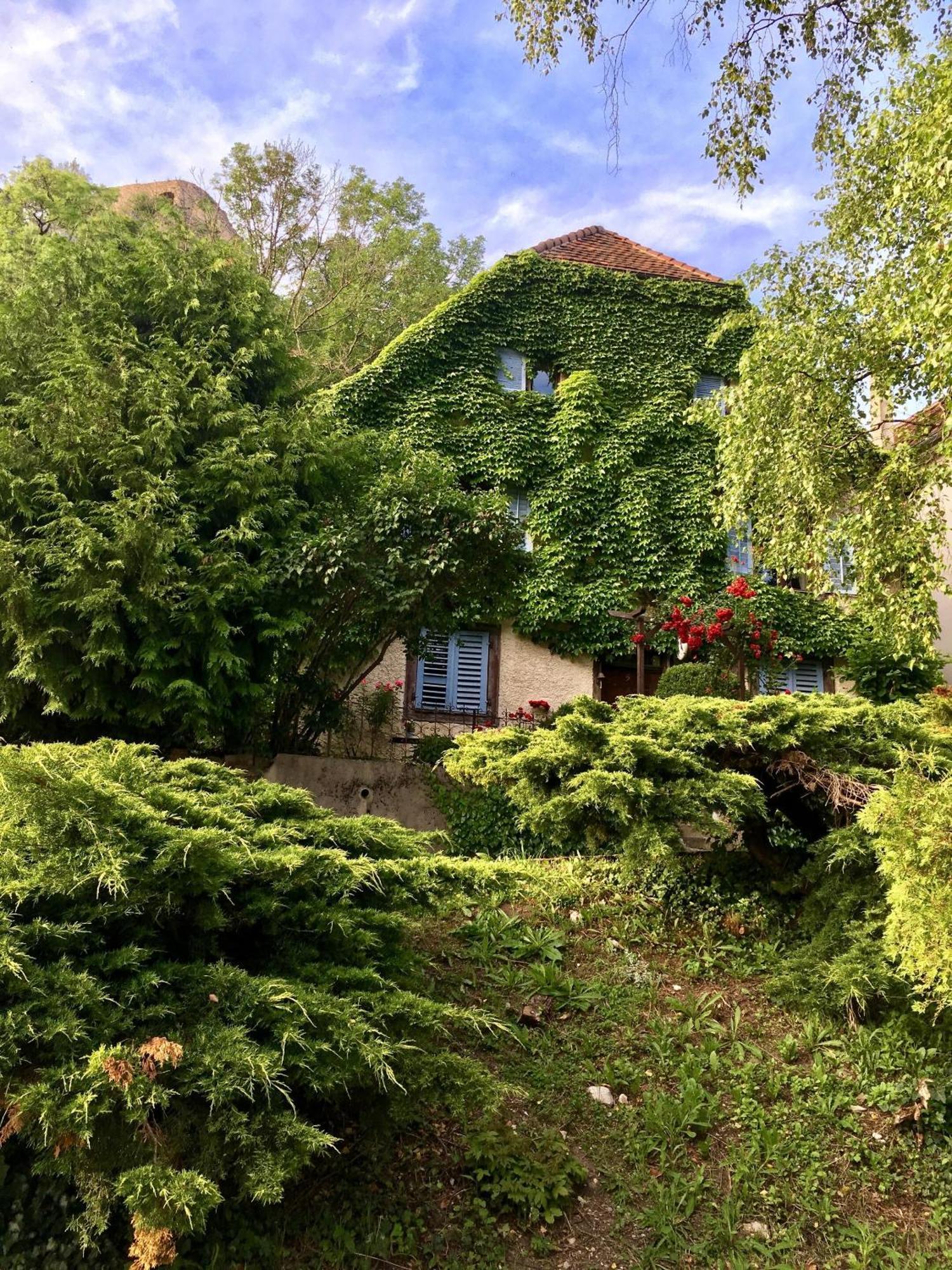 B&B De Charme La Maison Des 5 Temps Ferrette Eksteriør bilde